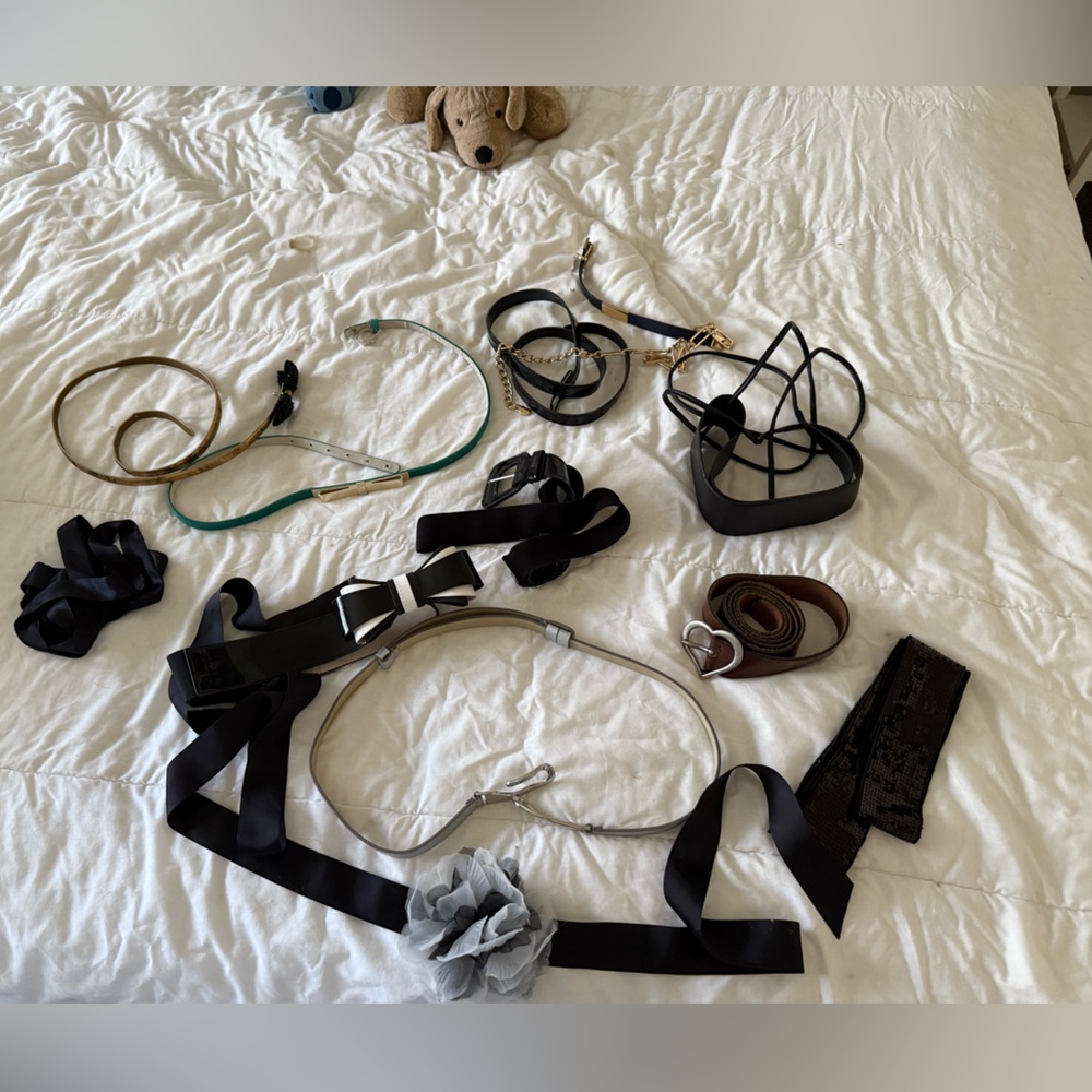 Assorted Belts Collection